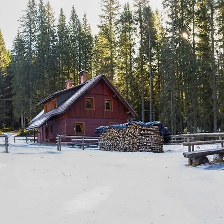 Digital Detox Pokljuka * Goreljek