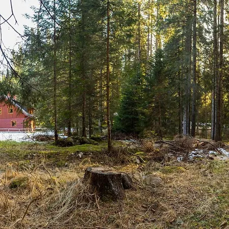 Digital Detox Pokljuka *