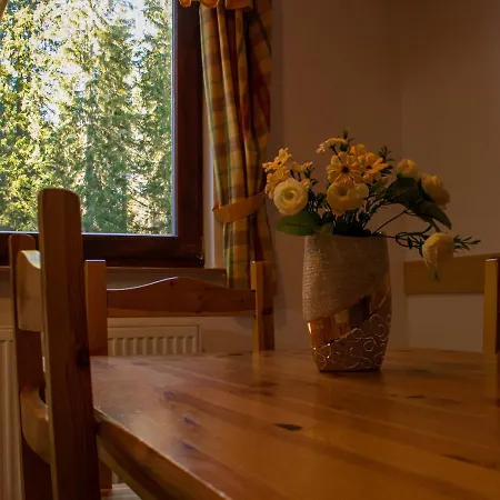 Digital Detox Pokljuka *