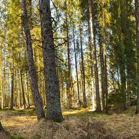 Digital Detox Pokljuka Apartment Goreljek