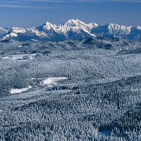Apartment Digital Detox Pokljuka Goreljek