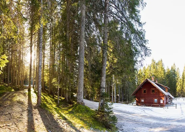 Digital Detox Pokljuka