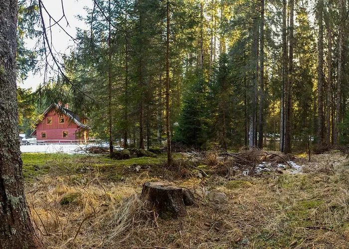 Digital Detox Pokljuka *