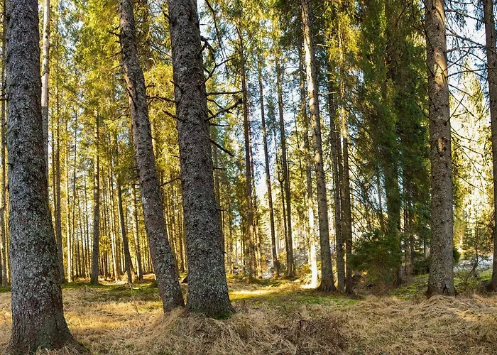 Digital Detox Pokljuka Appartamento Goreljek