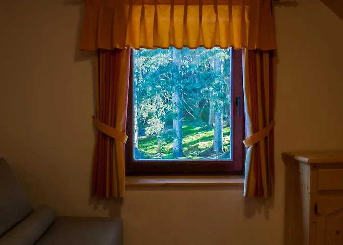 Digital Detox Pokljuka Goreljek