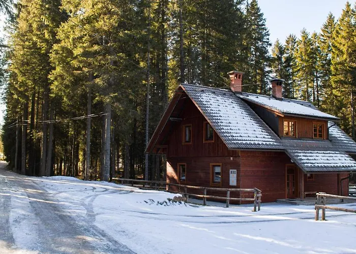 Digital Detox Pokljuka Goreljek