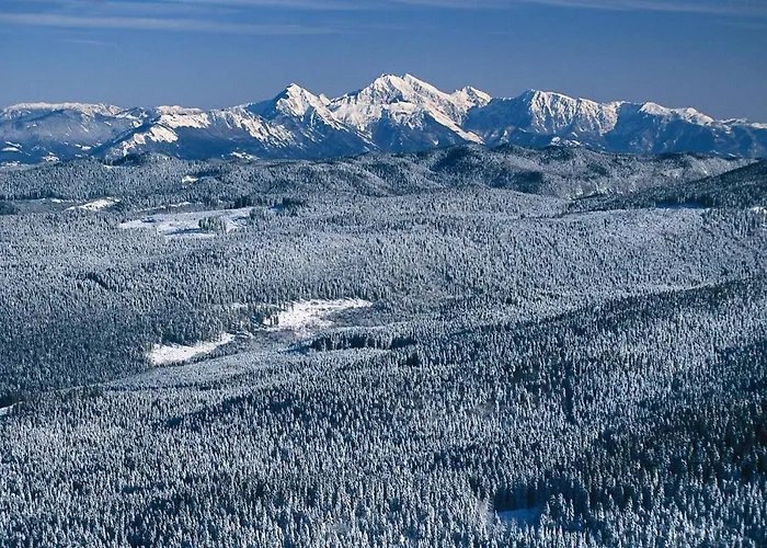 Appartamento Digital Detox Pokljuka Goreljek